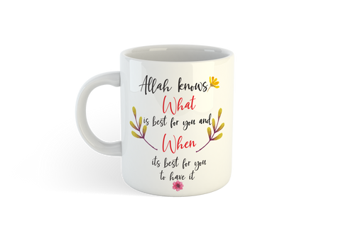 Allah know WHats best for you and when its best for you to have it