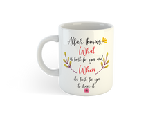 Allah know WHats best for you and when its best for you to have it